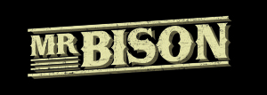 MR BISON LOGO