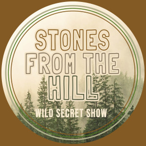 LOGO STONES